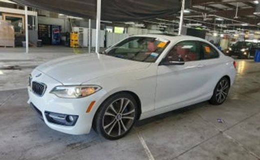 2015 BMW 228I Coupe