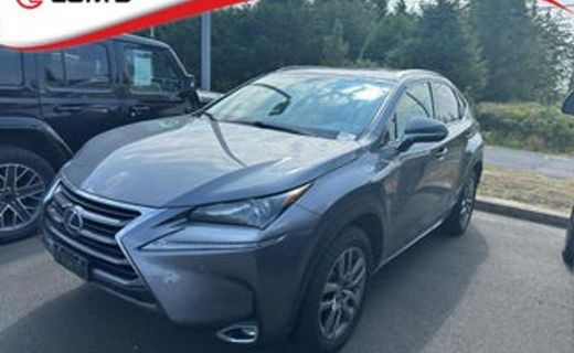 2015 Lexus NX 300H Luxury