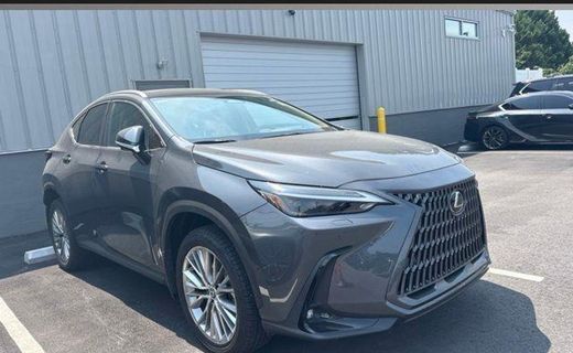2024 Lexus NX 350 Luxury