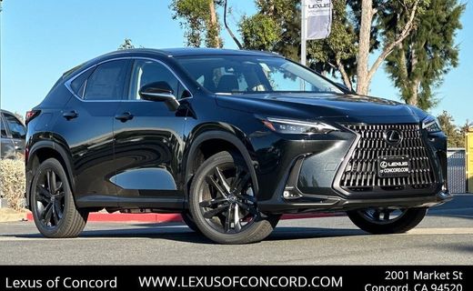 2025 Lexus NX Luxury