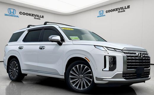 2024 Hyundai Palisade Calligraphy Night