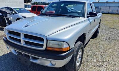 2001 Dodge Dakota Base