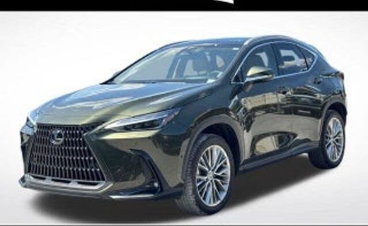 2025 Lexus NX 350 Luxury