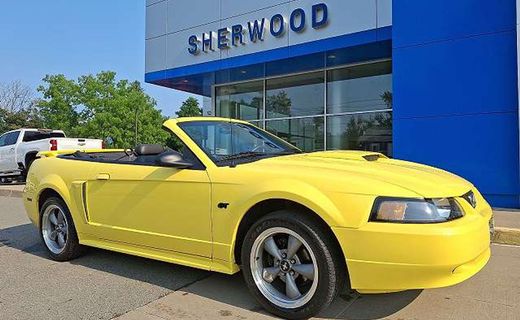2002 Ford Mustang GT