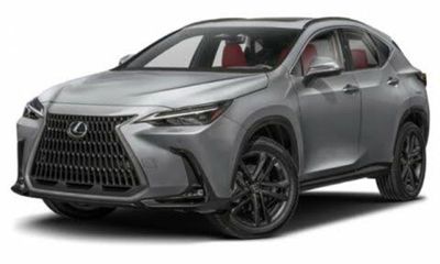 2025 Lexus NX Luxury