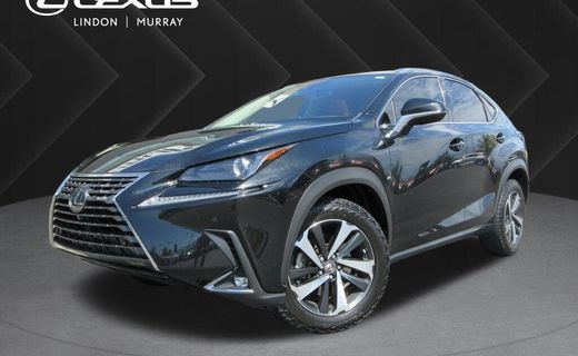 2021 Lexus NX 300 Premium
