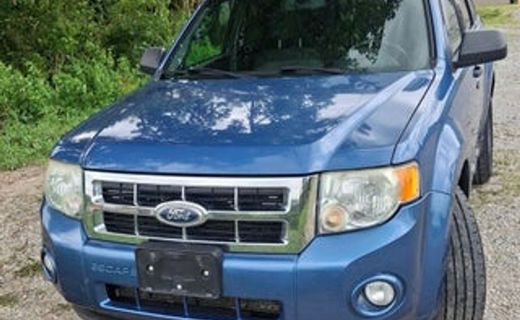 2010 Ford Escape XLT