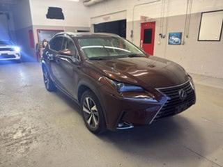 2019 Lexus NX 300 Luxury