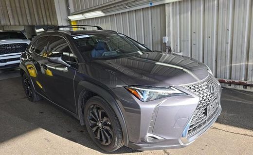 2025 Lexus UX 300H