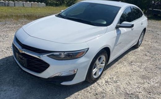 2020 Chevrolet Malibu LS 1FL