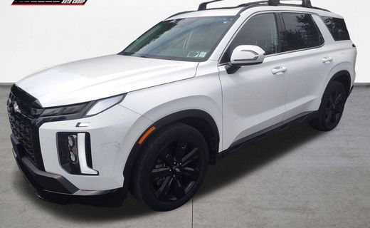 2023 Hyundai Palisade XRT