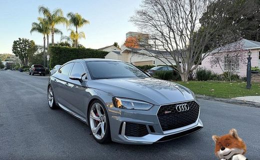 2019 Audi RS 5
