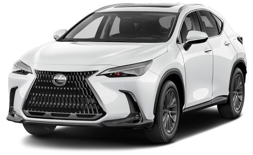 2022 Lexus NX Luxury