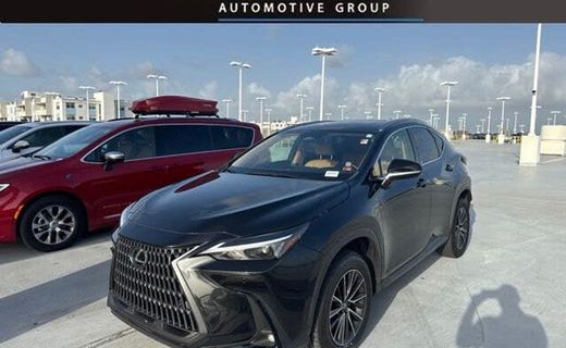 2024 Lexus NX