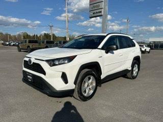 2022 Kia Seltos
