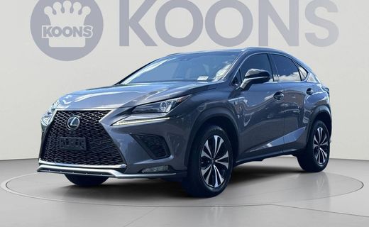 2019 Lexus NX 300 Luxury