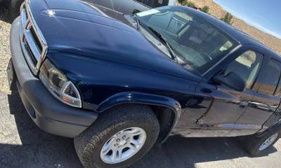 2004 Dodge Dakota Sport Stampede