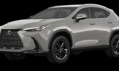 2024 Lexus NX Luxury