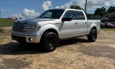 2013 Ford F-150 Platinum