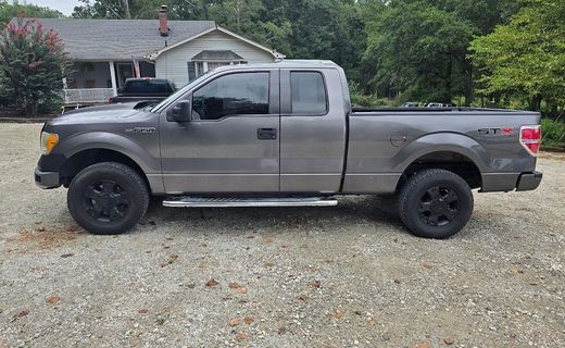 2010 Ford F-150 Styleside