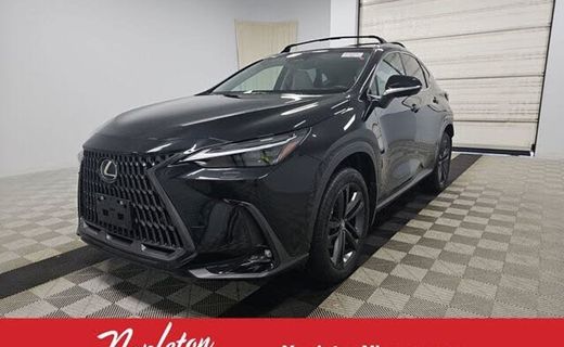 2025 Lexus NX Luxury