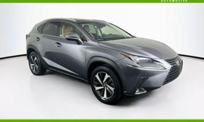 2019 Lexus NX 300 Luxury