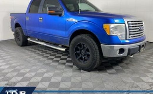 2010 Ford F-150 Styleside