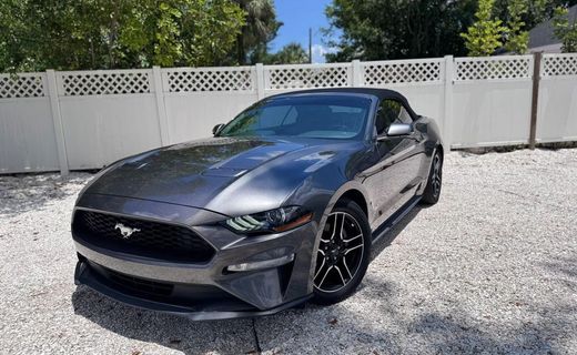 2019 Ford Mustang