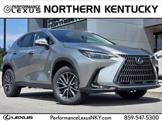 2026 Lexus NX Luxury