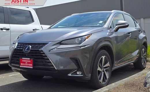 2019 Lexus NX 300H Luxury