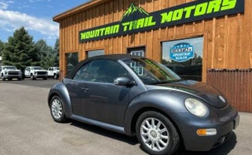2004 Volkswagen Beetle GLS