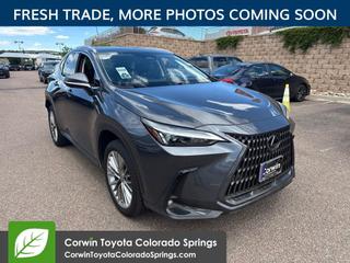 2025 Lexus NX 350 Premium