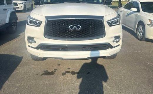 2023 Infiniti QX80 Base