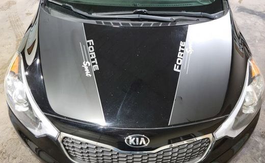 2014 Kia Forte