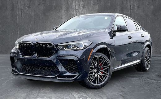 2022 BMW X6