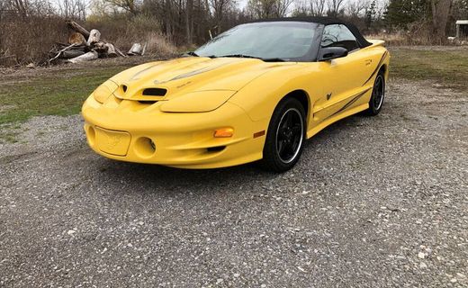 2002 Pontiac Firebird Trans AM