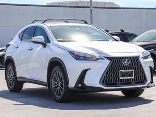 2025 Lexus NX 350 Premium