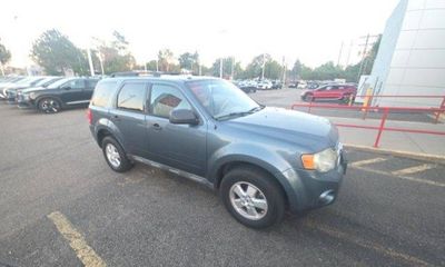 2010 Ford Escape XLT