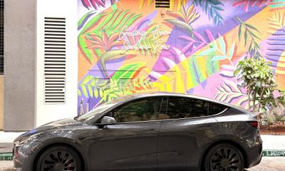 2021 Tesla Model Y Performance