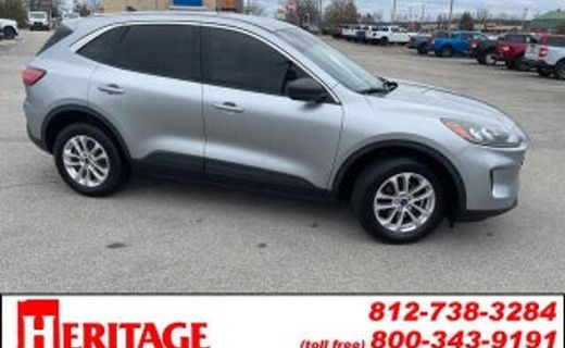 2024 Ford Escape ST Line
