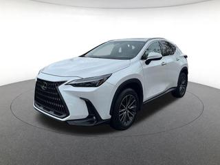 2024 Lexus NX 350 Base