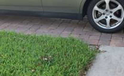 2004 Infiniti G35