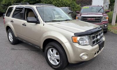 2010 Ford Escape XLT