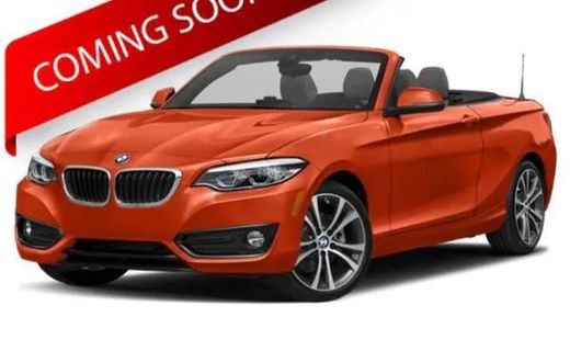 2019 BMW 230I