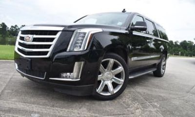 2019 Cadillac Escalade ESV Luxury