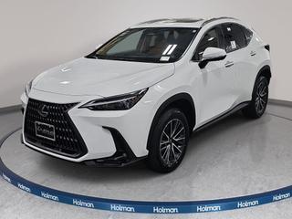 2026 Lexus NX Luxury