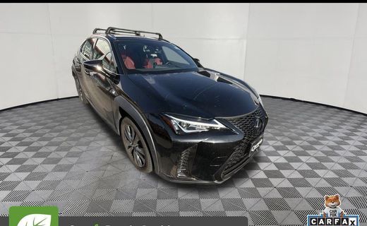 2020 Lexus UX