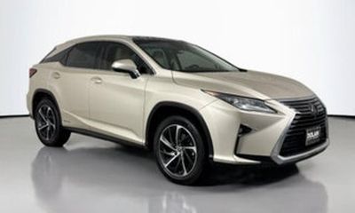 2019 Lexus RX