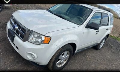2011 Ford Escape XLT