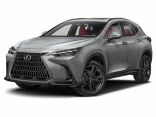 2025 Lexus NX Luxury